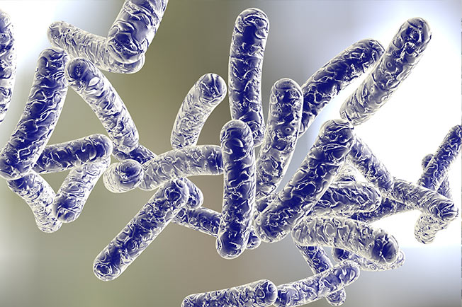 Legionella Control